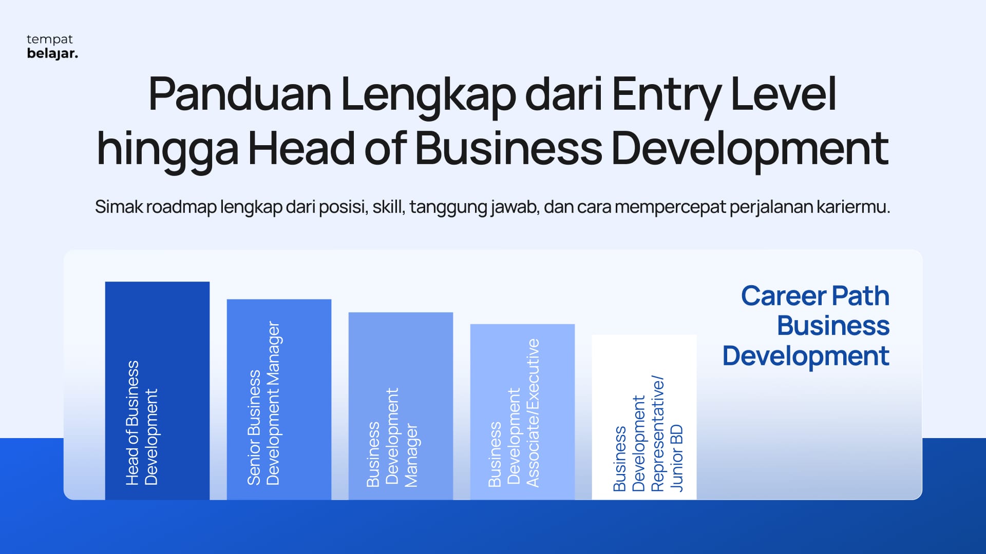 Career Path Business Development: Panduan Lengkap dari Entry Level hingga Head of BD