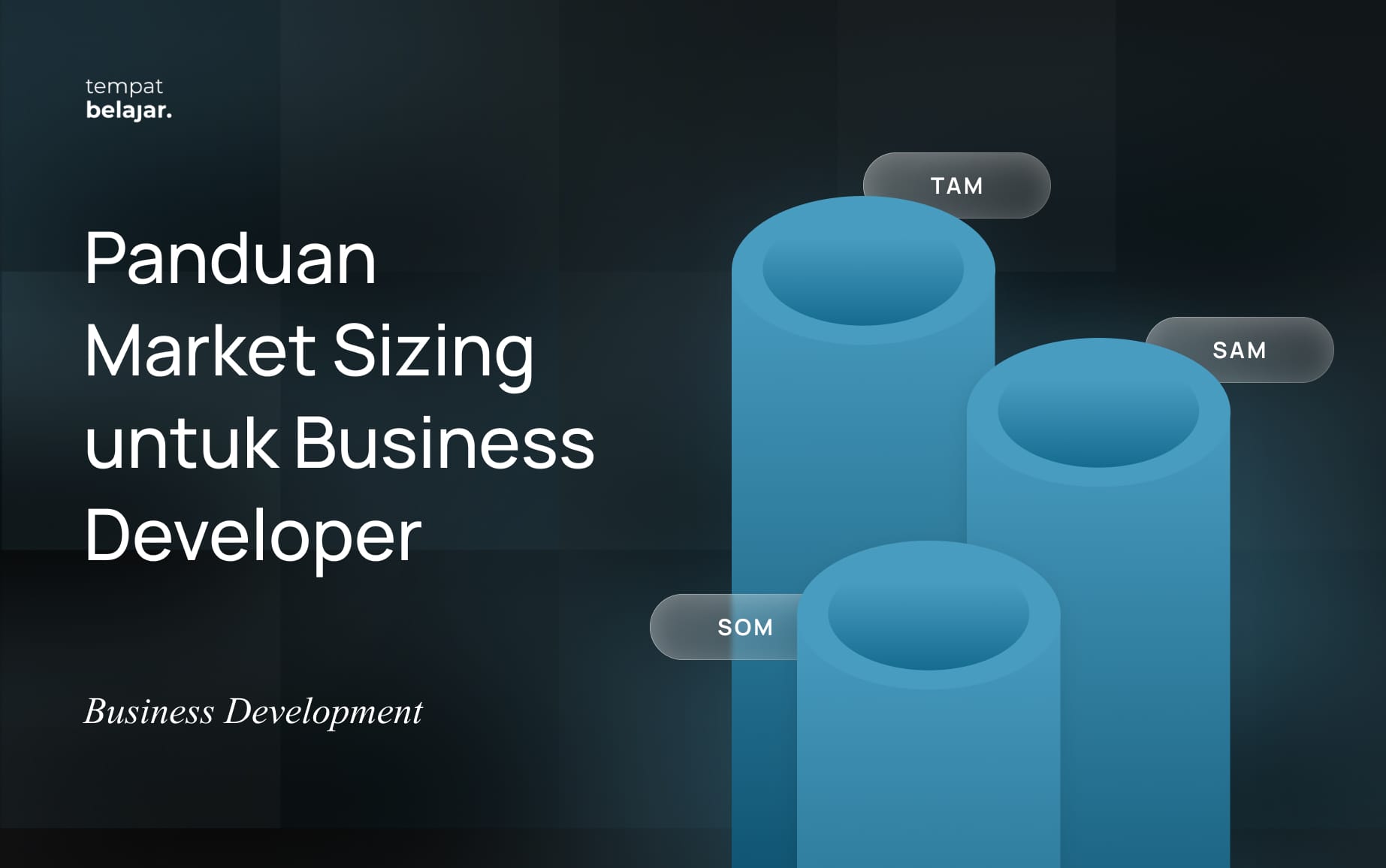 Panduan Market Sizing untuk Business Developer