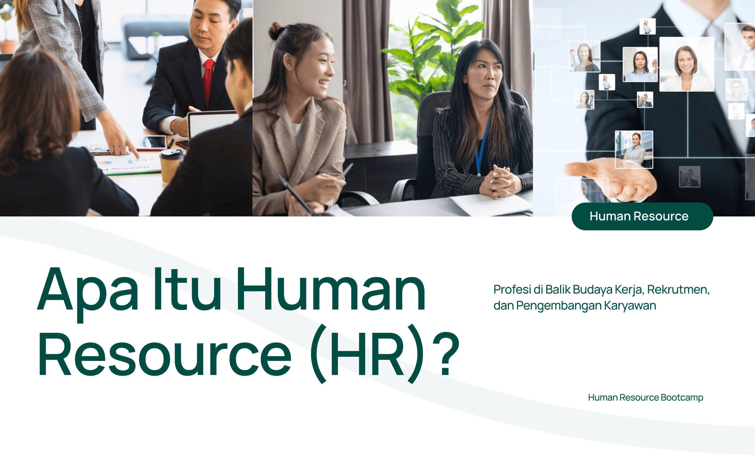 Apa Itu Human Resource? Profesi di Balik Budaya Kerja, Rekrutmen, dan Pengembangan Karyawan